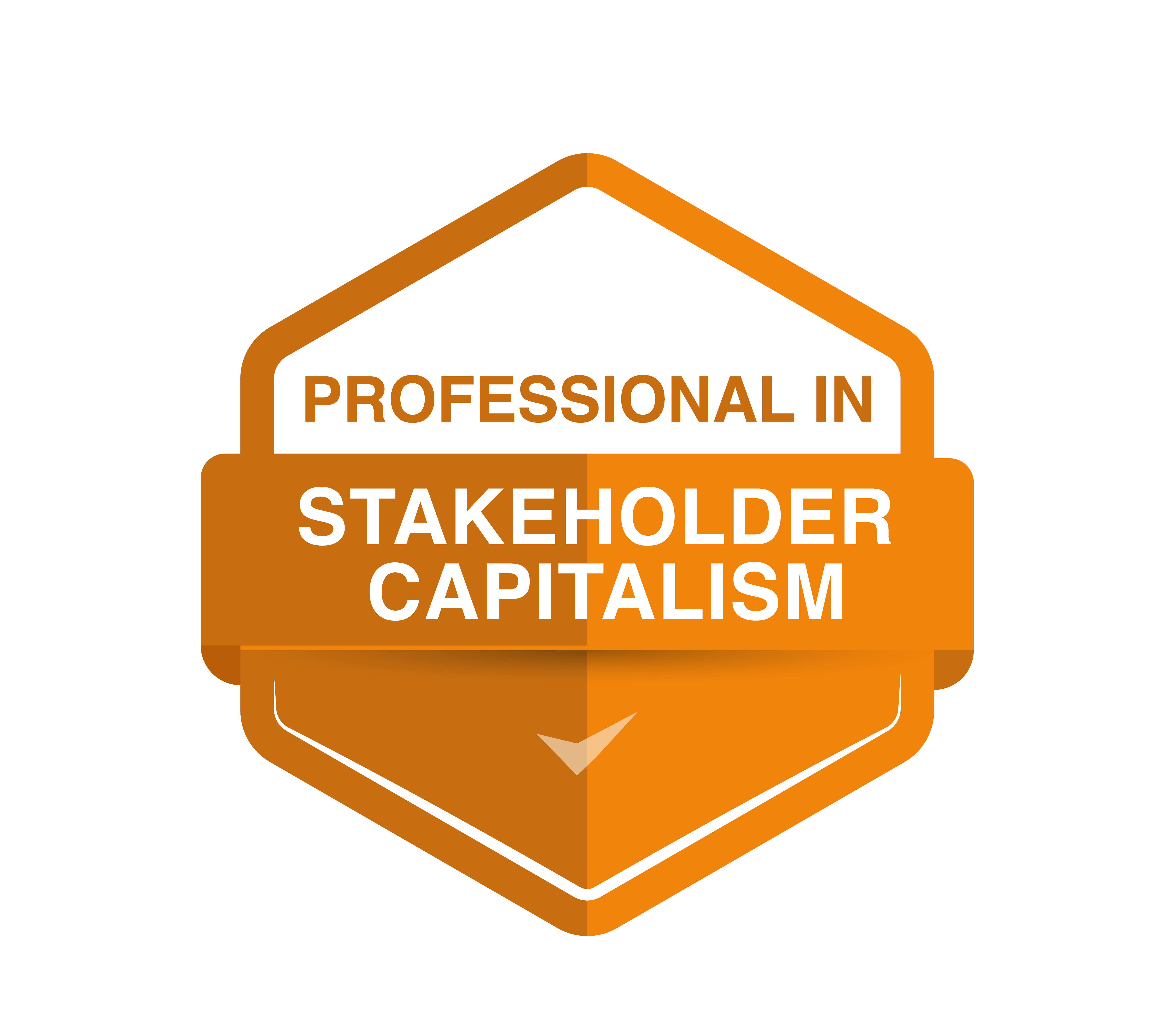 Professional in Stakeholder Capitalism
